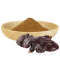 Lingzhi Ganoderma Lucidum استخراج مسحوق فطر ريشي